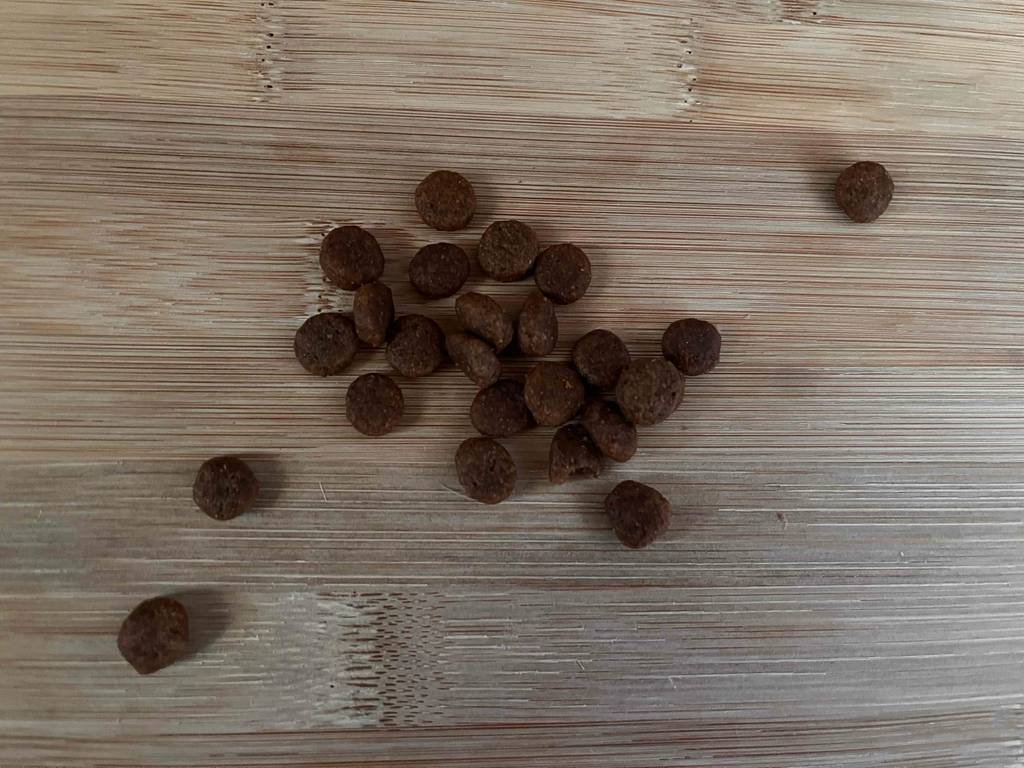 Nahansicht von getestetem Katzen-Trockenfutter.