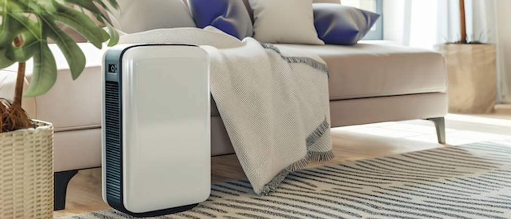 De'Longhi-Luftentfeuchter im Test: Ein Luftentfeuchter steht vor einer Couch in einem Wohnzimmer.