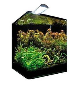 Nano Aquarium