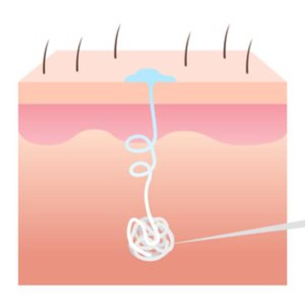 Deo Test & Vergleich » Top 20 im November 2022