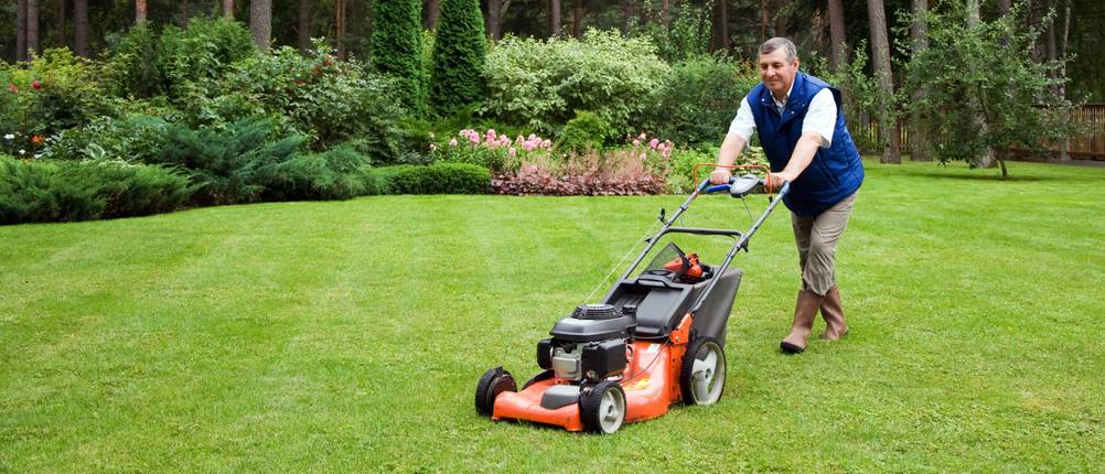 Rasenmäher 56 cm Schnittbreite test