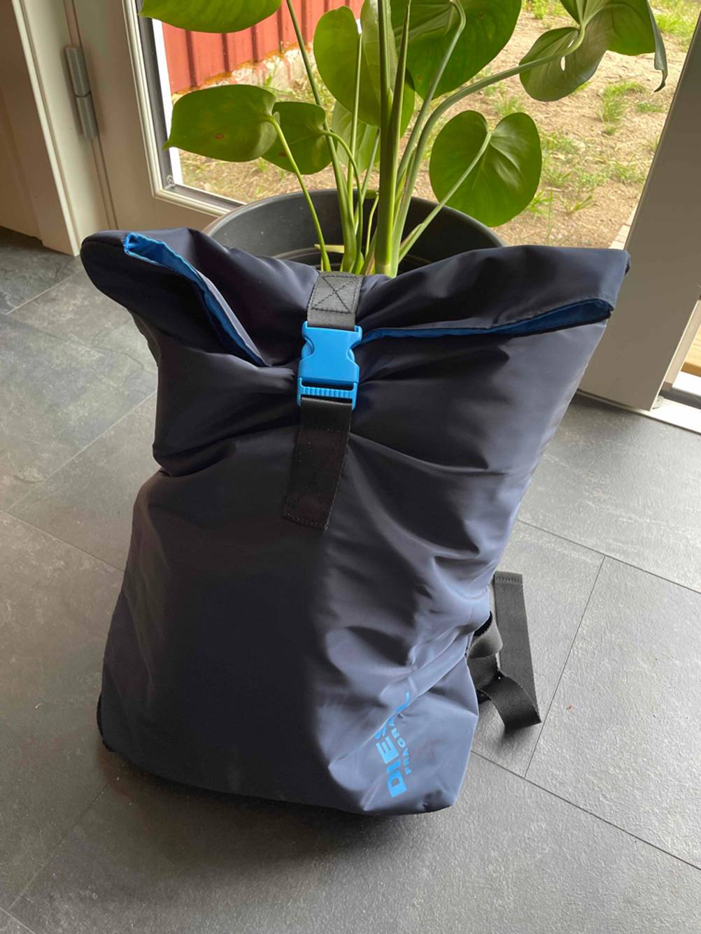 Im Test: Ein gepackter Roll Top Rucksack steht vor einer Pflanze.