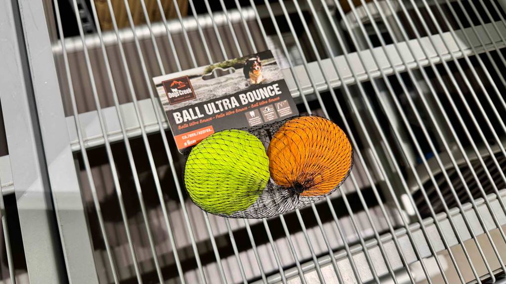 Hundeball-Test: ein 2er Netz liegt in einem Gitterregal.