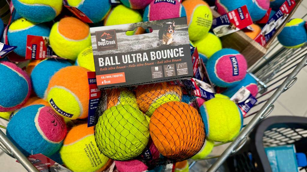 Hundeball-Test: Ein Set im Netz liegt auf vielen einzelnen Bällen.