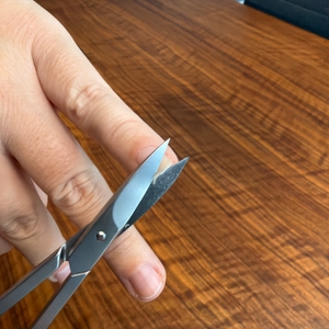 Mit der Drei-Schwerter-Nagelschere AE 1912 wird ein Fingernagel geschnitten.