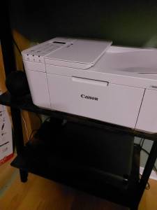 Ein weißer Canon Drucker auf einem Tischchen im Test.