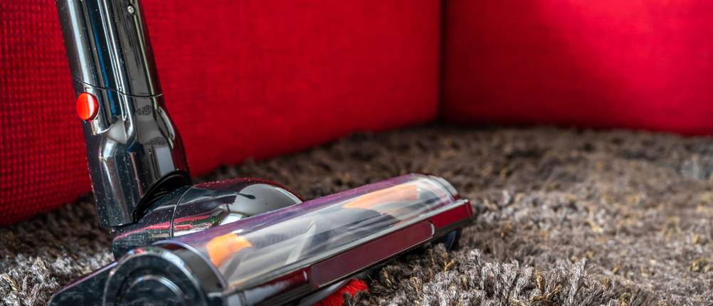 Dyson-Staubsauger-Test: vor einem roten Sofa auf einem flauschigen Teppich