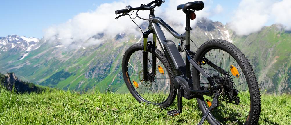 E-Bike 29 Zoll Test