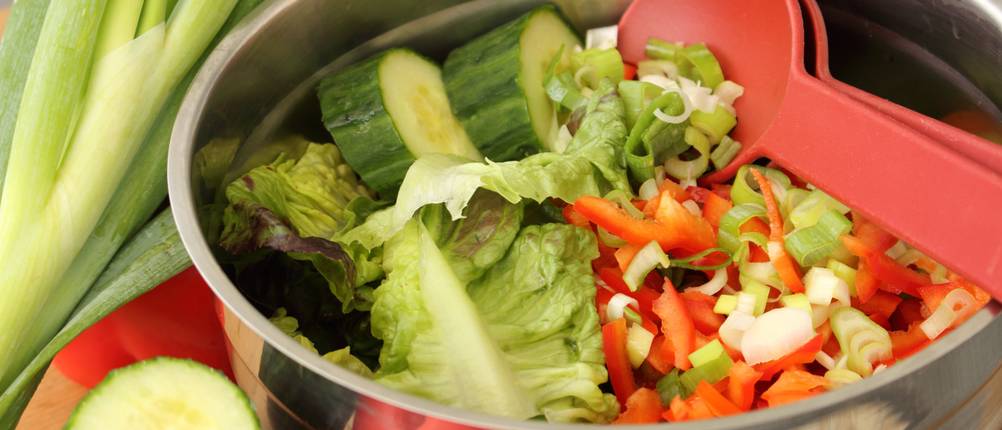 Edelstahlschüssel mit Deckel Test