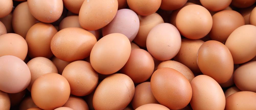 ei-ersatz-test: mehrere Eier