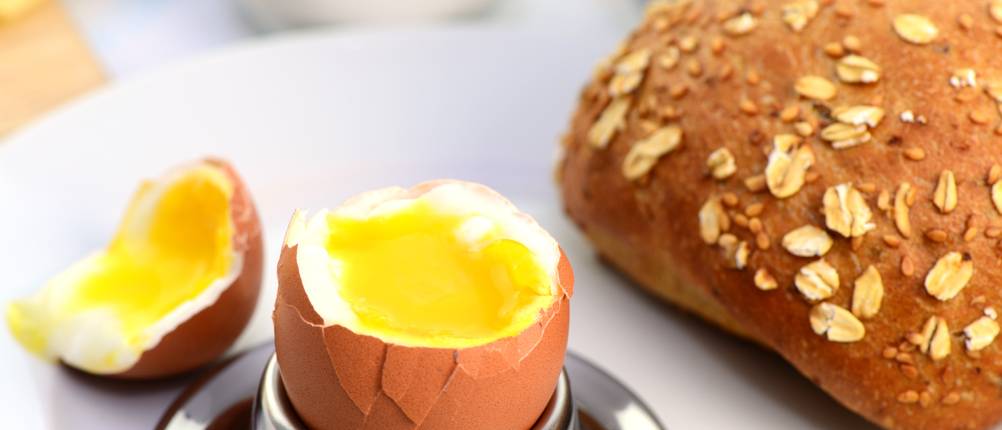 Eier sind die besten Eiweiß- und Aminosäurekomplex-Lieferanten.