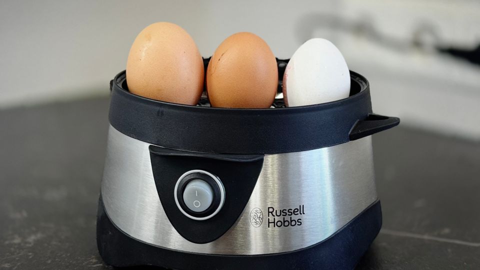 Im getesteten Eierkocher von Russell Hobbs stehen verschieden große Eier.