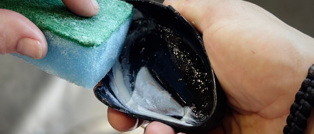 Eine Person reinigt eine Schale des getesteten Eierkochers von Russell Hobbs mit einem Schwamm.