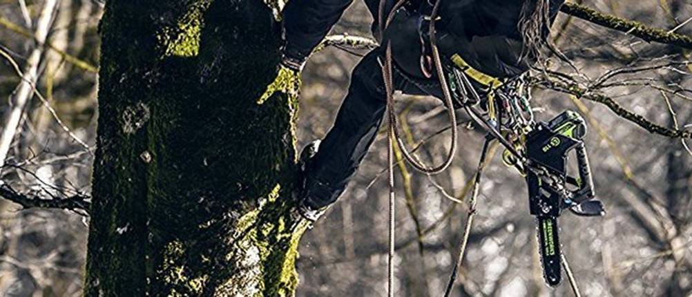 Top-Handle-Kettensäge bei Einsatz in einem Baum