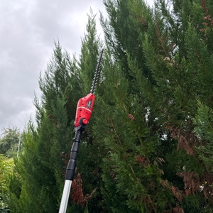 Mit der Einhell-Akku-Teleskop-Heckenschere GE-HH werden große Hecken geschnitten