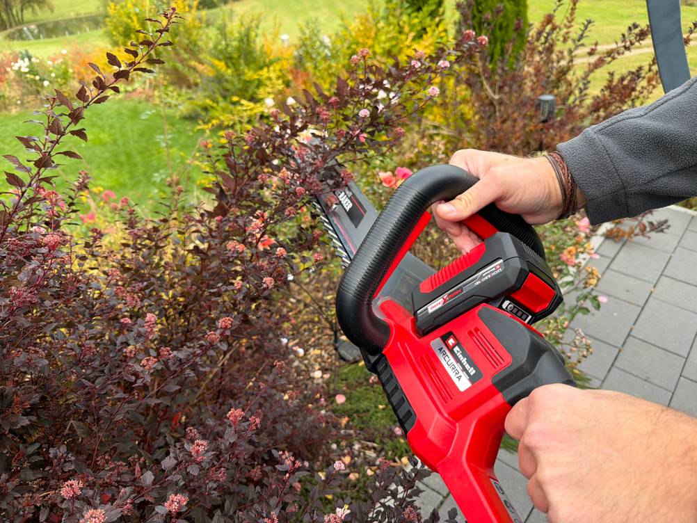 Ein Strauch wird mit der Einhell ARCURRA 18/55 geschnitten