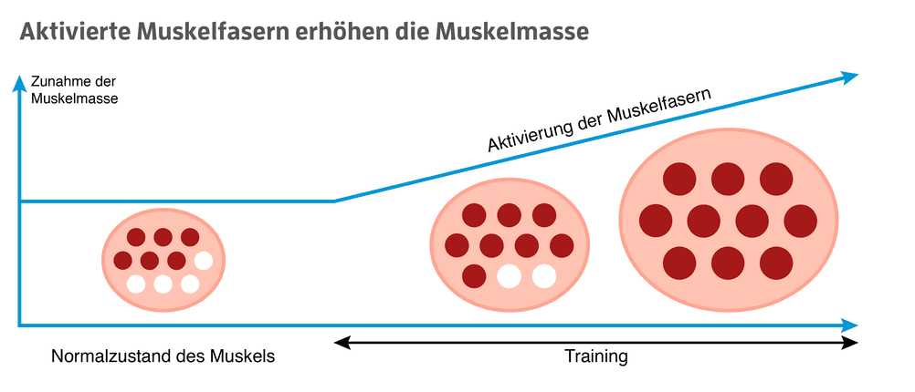 eiweißpilver kaufen