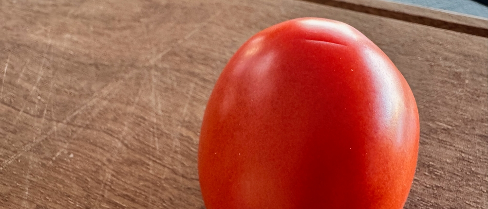 Angedrückte Tomate vor dem Schleifen mit dem Chef's Choice 270100