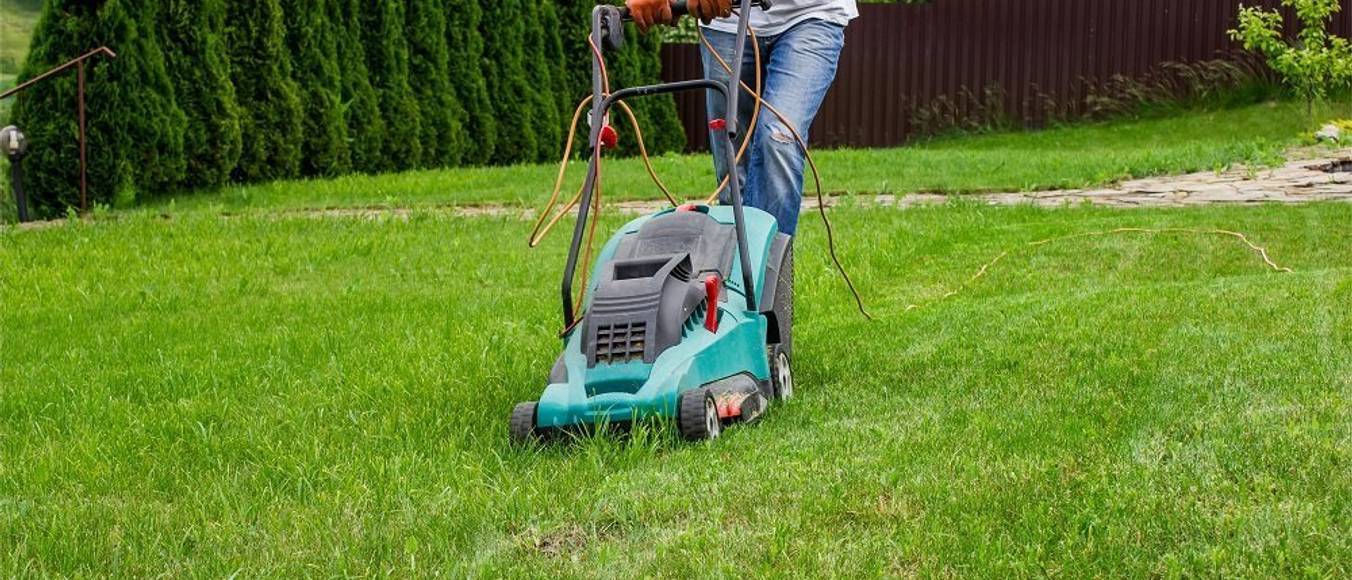 ElektroRasenmäher mit Mulchfunktion Test & Vergleich