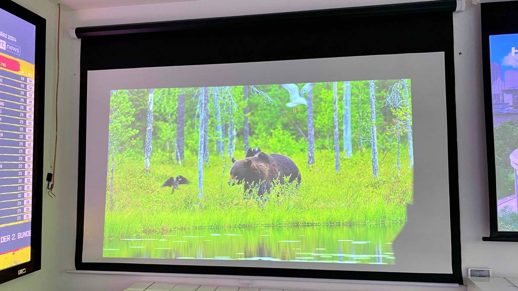 Ansicht von vorn auf eine große ausziehbare getestete Rahmenleinwand inklusive schwarzem Rahmen, auf der ein Naturfoto mit Bär zu sehen ist.