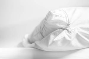 Encasing Kissen