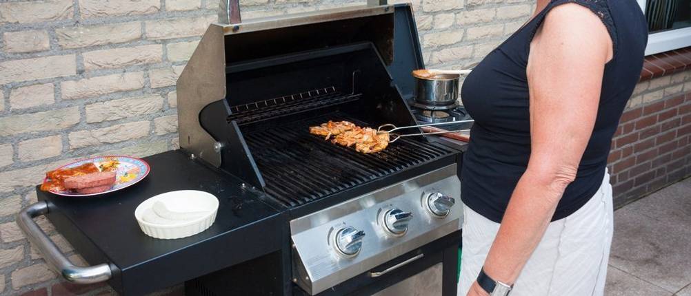 Enders Gasgrill Test