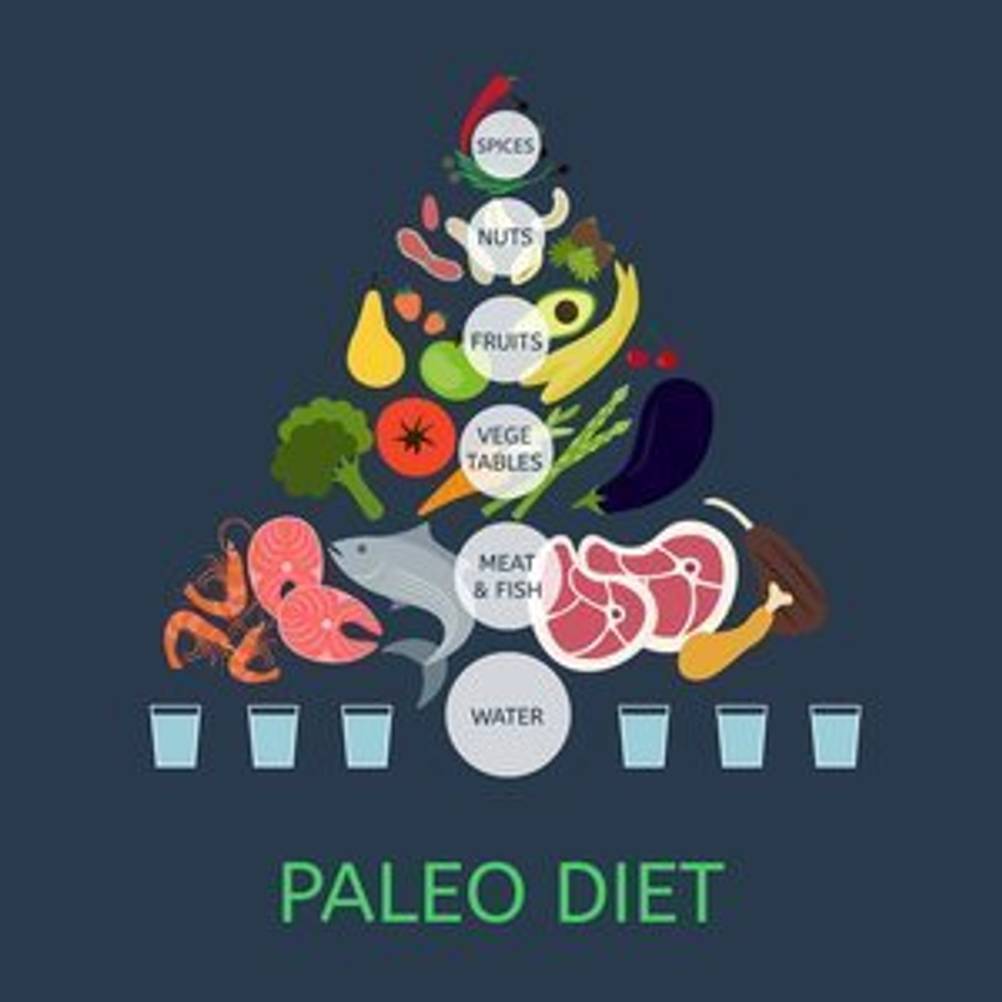 paleo ernährungspyramide
