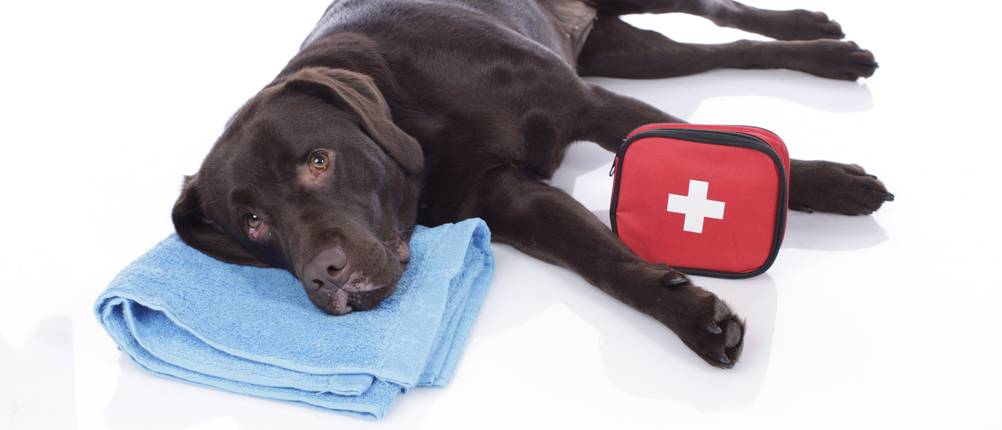erste-hilfe-set-kaufen