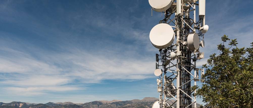 Eine Mobilfunksendemast steht in einem Wald.