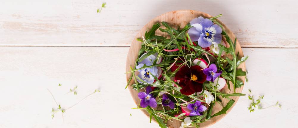 Essbare-Blüten-Test