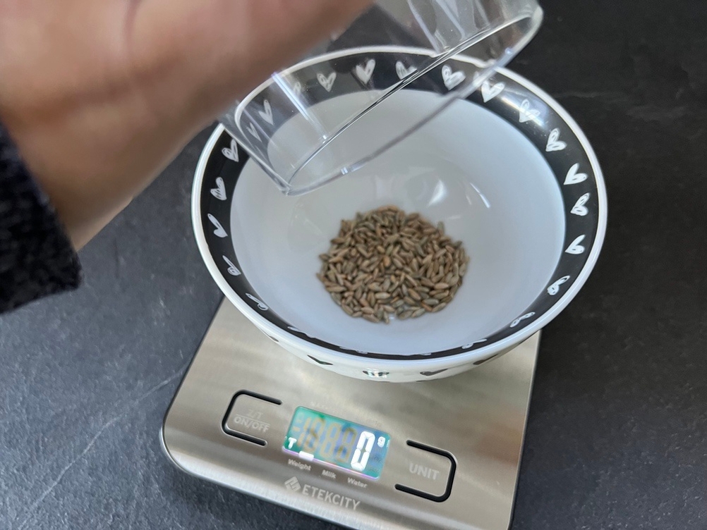 Einschütten von Roggen in eine weiße Schale auf der Küchenwaage Etekcity Ek6020.