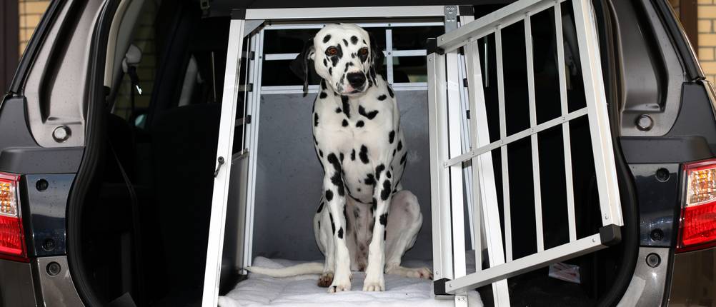 eugad-hundebox-test