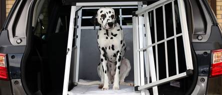 Hundeboxen fürs Auto: Schon für 210 Euro sind Hunde gut geschützt