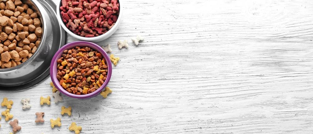 Eukanuba-Hundefutter-Test
