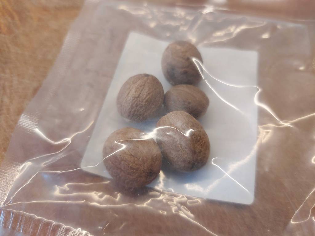 Muskatnuss im Test: 5 Muskatnüsse sind in einer durchsichtigen Verpackung eingepackt und liegen auf einer Holzfläche.