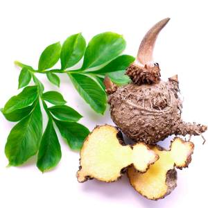 Glucomannan: pflanzliche Appetitzügler