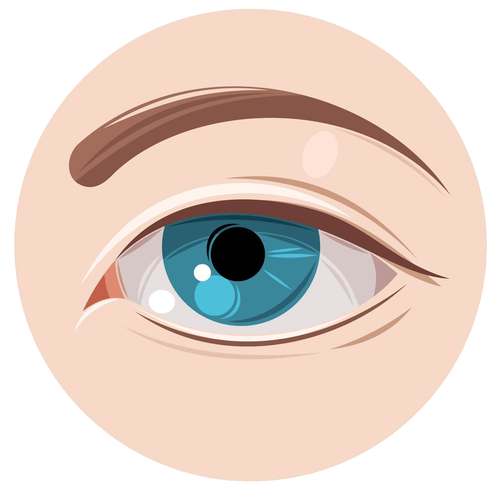 auge