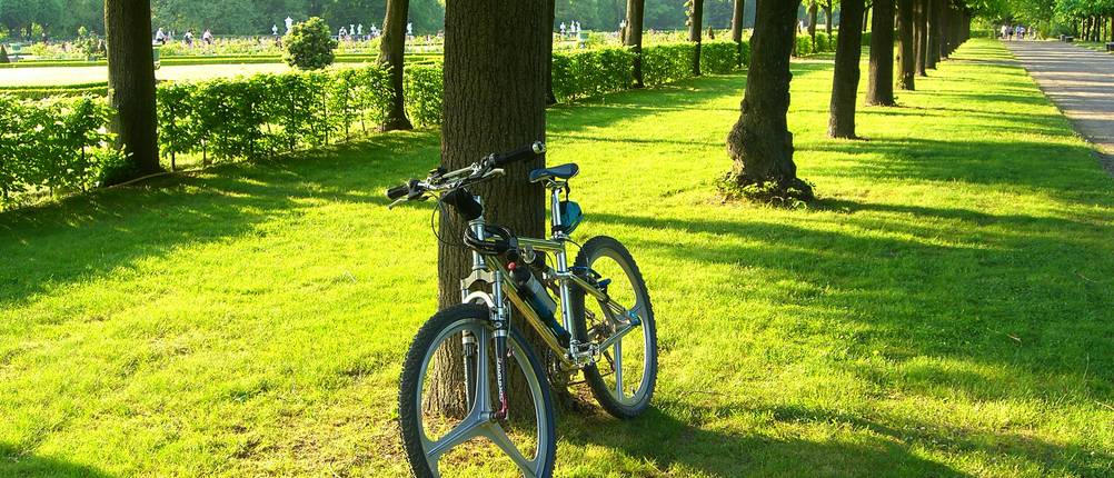 Fahrrad-Dämpfer-Test