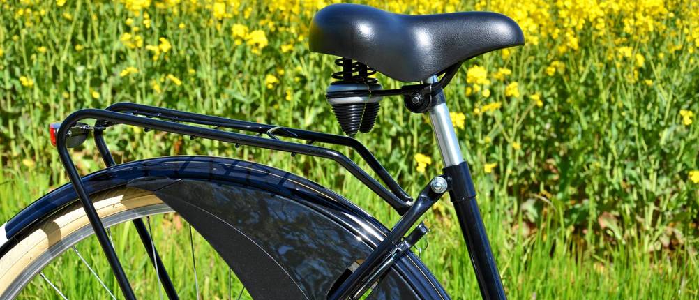 Fahrrad-Schutzblech-Test: Großaufnahme eines extra großen Schutzblechs, das etwa ein Drittel in den Reifen hineinragt. Im Hintergrund ist ein Feld mit gelben Blumen
