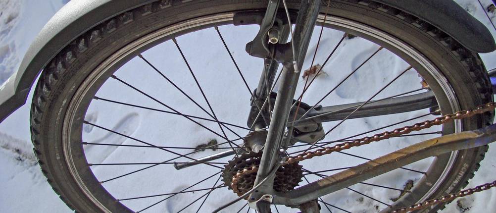 Fahrrad-Schutzblech-Test: Großaufnahme eines Mountainbike-Fahrradreifens mit Schutzblech
