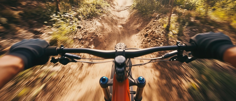 Fahrradhandschuhe-Erwachsene-Test: Lenker eines Mountainbikes mit Händen in Handschuhen und Bilck auf eine Offroad-Strecke