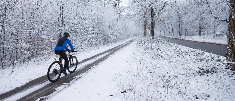 fahrradjacke-herren-test