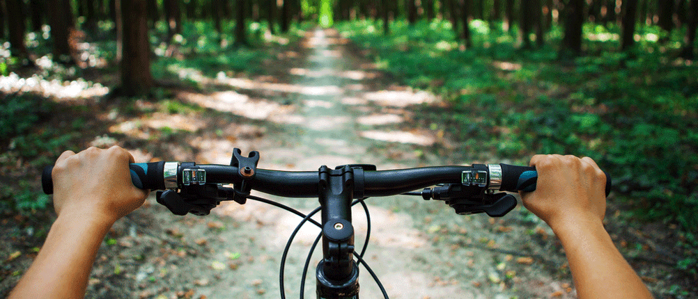 fahrradlenker testsieger