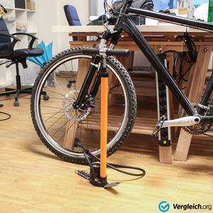 fahrradpumpe kaufen