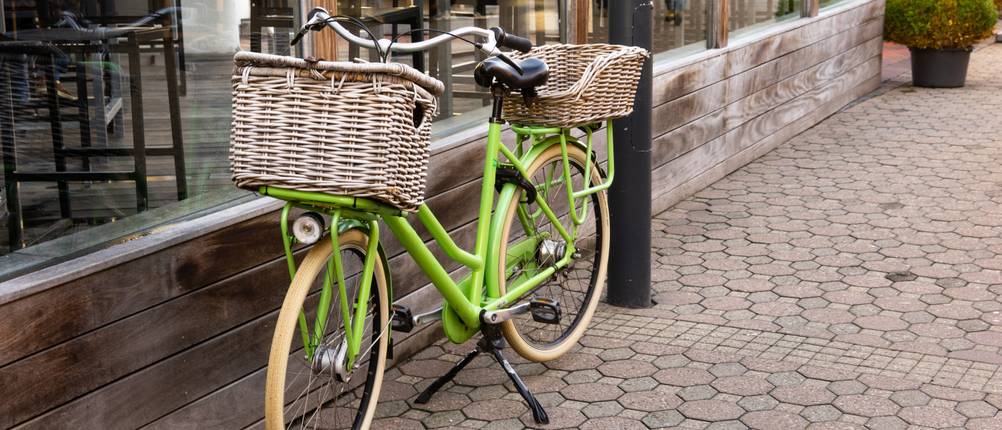 Fahrradständer Zweibein Test
