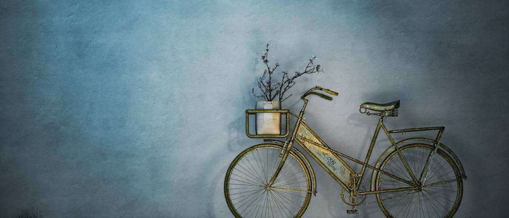 Fahrrad-Gepäckträger-Test: nostalgischer Drahtesel mit Blumenstock im Gepräckträger vorne