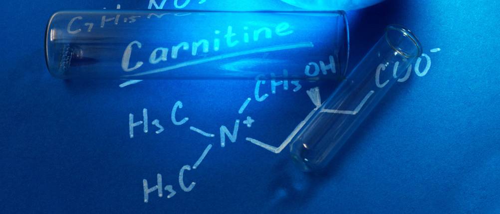 fatburner-test: Aufnahme der Strukturformel von Carnitin. 