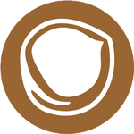 Macadamia-Nuss