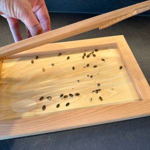 Krümel befinden sich in der Schale vom Feinholz-Brotschneidebrett