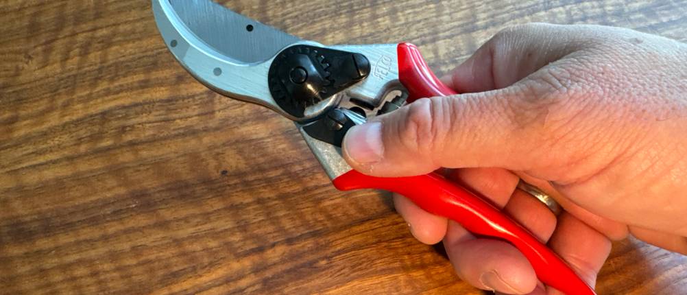 Eine Hand hält die geschlossene Felco F-2 fest